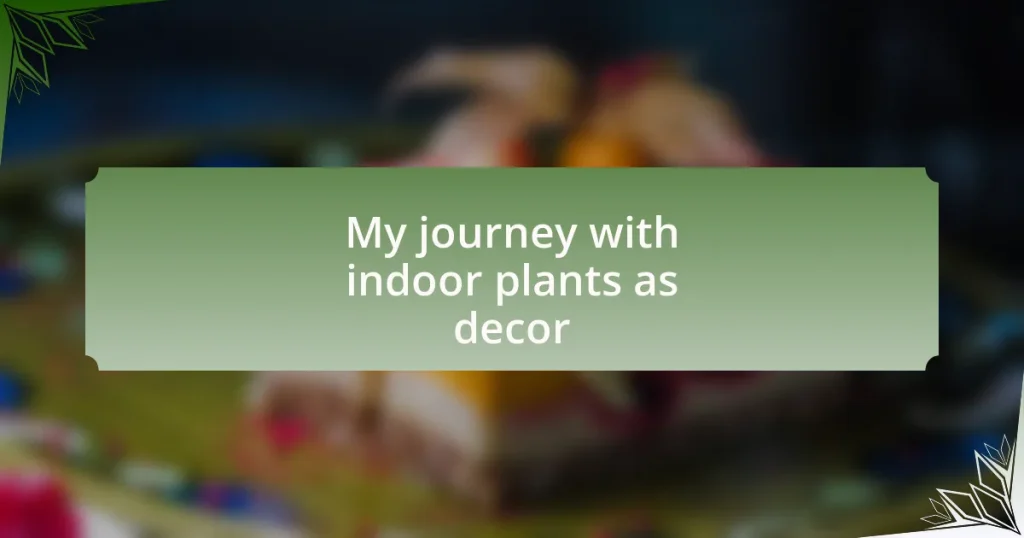 My journey with indoor plants as decor
